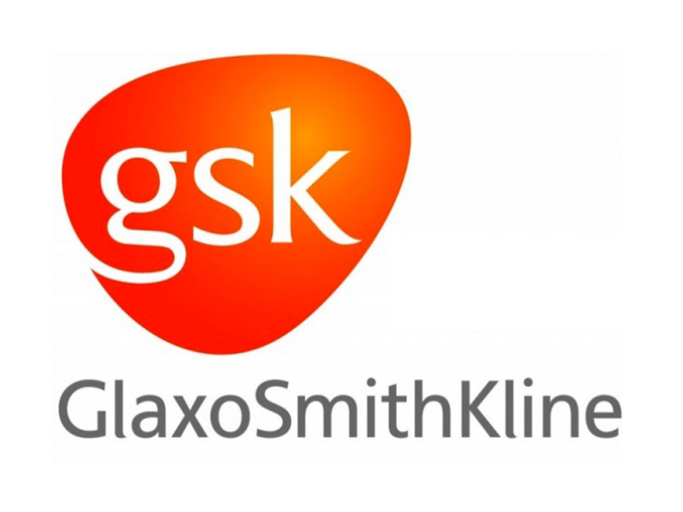 Flint Spark Consulting have supported team away days at GSK through our facilitation services and MBTI profiling